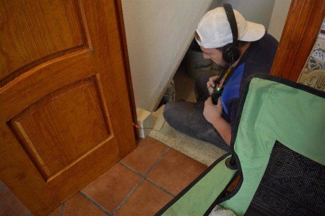 Los ataques de termitas subterráneas obligan a Checa (Guadalajara) a iniciar un tratamiento de erradicación