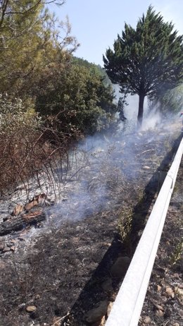 Bomberos del CEIS Rioja controlan un incendio en Turruncún (La Rioja) que ha afectado a pinos y encinas