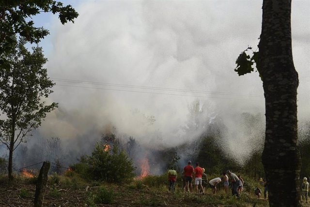Varias personas trabajan en la extinción de un incendio en Verín, a 3 de agosto de 2022, en Verín, Ourense, Galicia (España). Un incendio forestal que permanece activo desde las 14,52 horas de este miércoles en Verín (Ourense) ha obligado a activar la ale