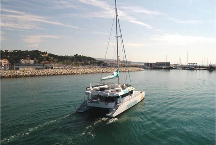 Nadar entre delfines, paseo en catamarán o bautismo de buceo, entre las experiencias veraniegas más refrescantes