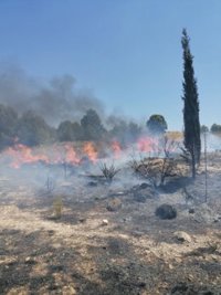 Extinguido en Jumilla un incendio forestal originado por la rotura de un cable eléctrico