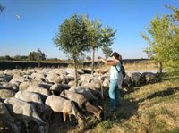 Agricultura abre hasta el 30 de septiembre el plazo para la solicitud de ayudas para la conservación de razas ganaderas