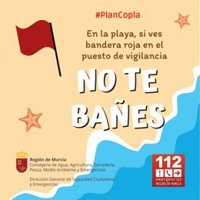 Los puestos de vigilancia de playas del Plan Copla han abierto con bandera verde salvo en una playa de Águilas