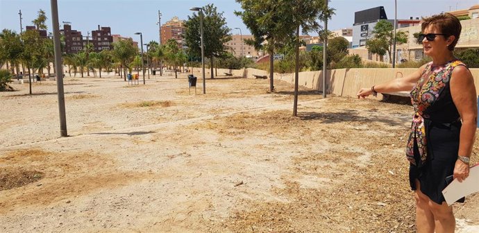 La portavoz del Grupo Socialista en el Ayuntamiento de Almería, Adriana Valverde, visita las zonas verdes en los accesos por carretera a la ciudad