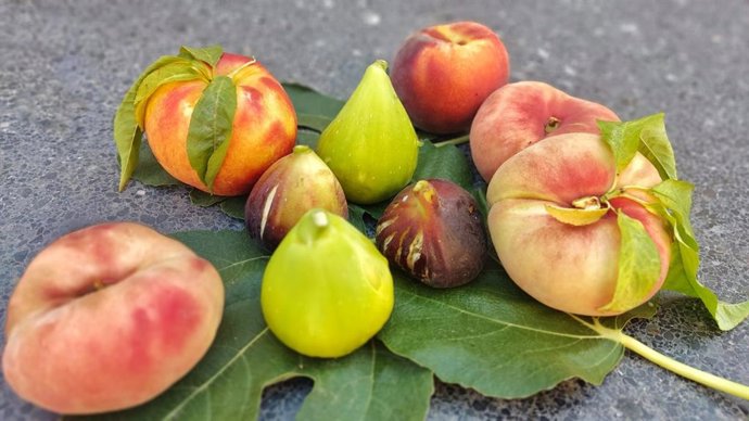 Rutas turísticas para unir patrimonio y gastronomía en Fraga.