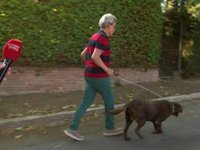 Ortega Cano huye al ser preguntado por la misteriosa mujer que habría revelado información a Ana María Aldón