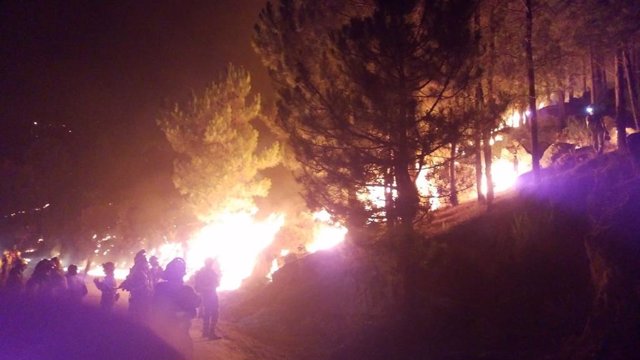 Una imagen del incendio de Santa Cruz del Valle
