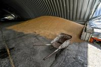 Llega a Turquía un barco con 12.000 toneladas de maíz exportadas desde Ucrania