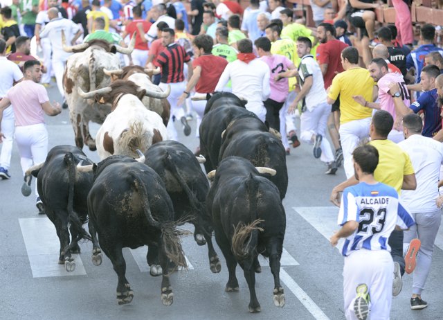 Encierro taurino en las calles de San Sebastián de los Reyes