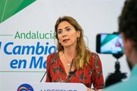 El PP-A reclama al Gobierno central que aporte el 50% de la financiación para la dependencia en Andalucía