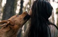 La conmovedora historia real del perro de Predator: La presa