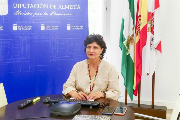 Archivo - La diputada provincial de Promoción Económica y Empleo, Carmen Navarro.