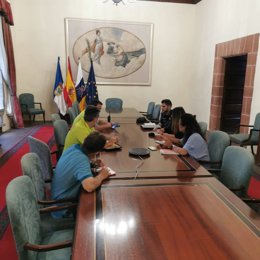 Comité Asesor del Plan Insular de Emergencias de La Palma (Peinpal)