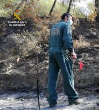 Investigan a un hombre por provocar un incendio forestal en Ciudadela (Menorca)