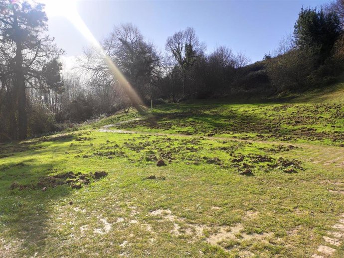 Archivo - Entorno del monumento Prerrománico de San Miguel de Lillo, en Oviedo, con su entorno dañado por la presencia de jabalíes.