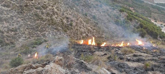 Incendio forestal declarado en Los Asperones, en Málaga capital