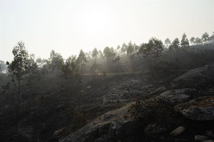Un paraje devastado tras el incendio iniciado en Boiro, a 6 de agosto de 2022, en Boiro, A Coruña (Galicia).