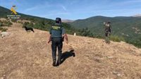 La Guardia Civil en La Rioja intensifica los controles en la búsqueda de cebos envenenados