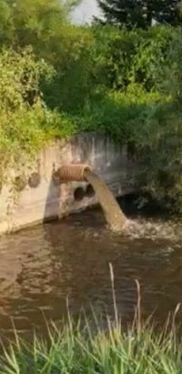 CCD-CI en Aldeamayor denuncia ante la CHD vertidos de aguas fecales en un riachuelo de El Golf