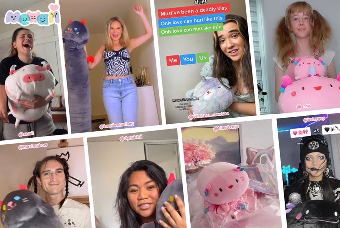 Mewaii has attracted Tiktok and Instagram influencers from various categories to share their experiences with the plush products