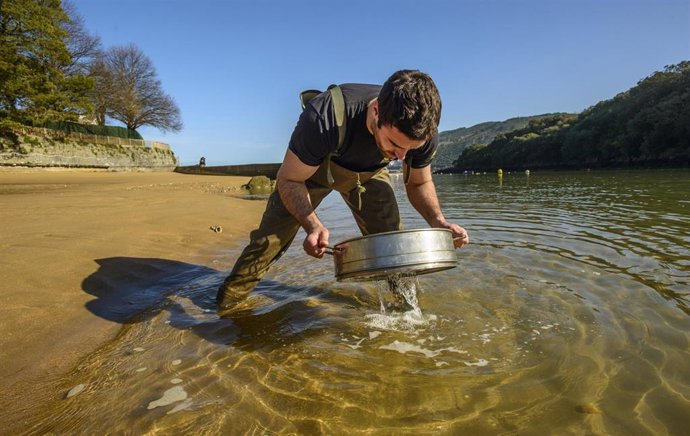 Archivo - Toma de muestras en Estuario del OKA, en Bizkaia.