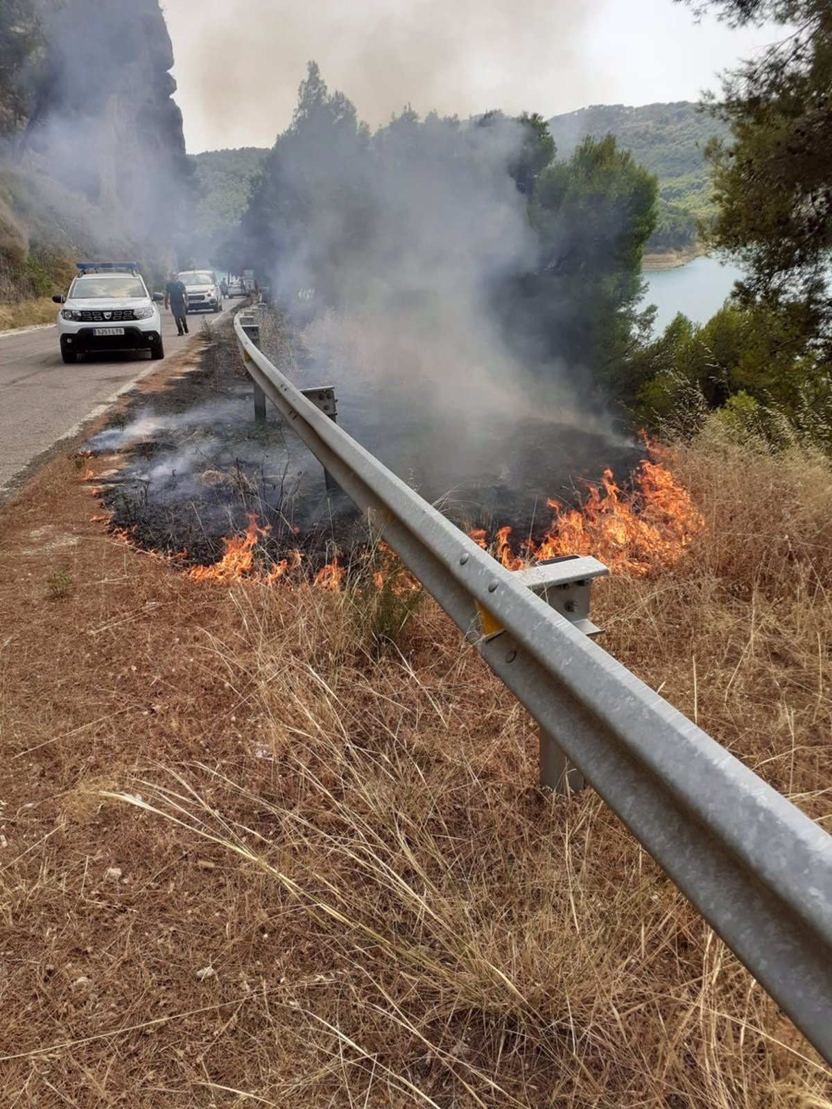 Declarado un incendio forestal en un paraje de Campillos (Málaga)
