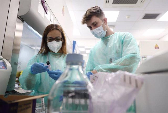 Archivo - Varios técnicos de laboratorio trabaja con pruebas PCR en el Laboratorio de Microbiología del Hospital público Gregorio Marañón