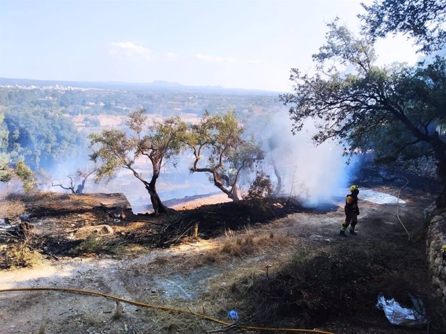 Medios antiincendios actúan en un incendio agrícola declarado en Son Colom (Mallorca).
