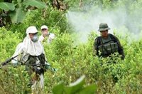 Biden extiende la ayuda a Colombia para luchar contra el narcotráfico