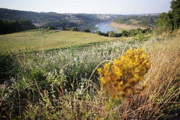 El paisaje junto a un río, marcado po rla ausencia de lluvias y las altas temperaturas  