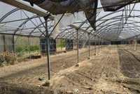 El Ayuntamiento de Pamplona realiza actuaciones preventivas de desbroce en Aranzadi para minimizar el riesgo de incendio