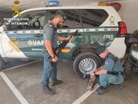 La Guardia Civil detiene a un cazador furtivo en las inmediaciones de Doñana