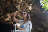 Xunta y USC investigan las pinturas prehistóricas de la Cova dos Mouros de Baleira (Lugo)
