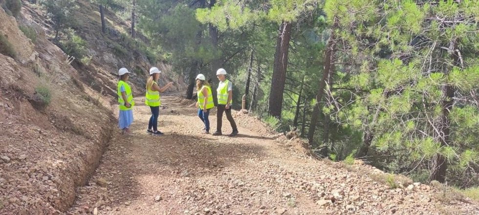 Visita a los caminos forestales del Yelmo Chico
