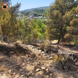 Incendio forestal declarado en una pinada cerca del castillo de Chiva (Valencia)