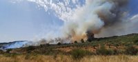 Declarado el nivel 1 de peligrosidad por un incendio en una zona de pinar de Santibáñez el Alto (Cáceres)