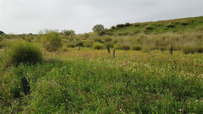Parque de las Canteras