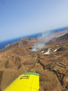 Incendio forestal declarado en el paraje de Las Hortichuelas de Níjar (Almería).