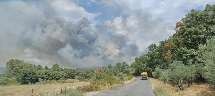 Humareda provocada por el incendio en Santibáñez el Alto.