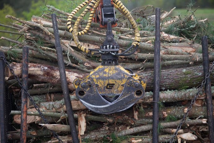 El Gobierno de Cantabria publica las bases de las ayudas para promover los productos forestales