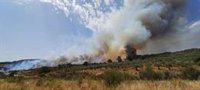 El incendio en Sierra de Gata está perimetrado "en buena parte" de la zona y su evolución es favorable