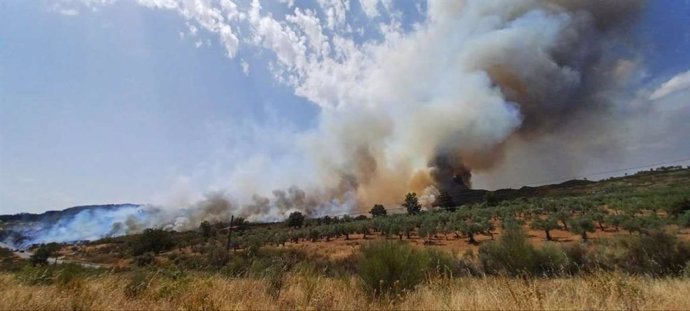 Incendio forestal de Santibáñez el Alto
