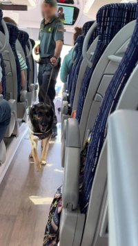 La Guardia Civil en La Rioja intensifica los controles en el transporte público