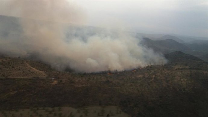 Archivo - Incendio forestal en La Fregeneda (Salamanca).