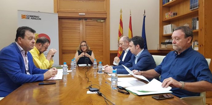 La cconsejera de Presidencia y Relaciones Institucionales del Ejecutivo aragonés, Mayte Pérez durante la reunión del Consejo Local de Aragón.