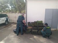 Descubierto un invernadero con más de 2.200 plantas de cannabis sativa en Jayena (Granada)