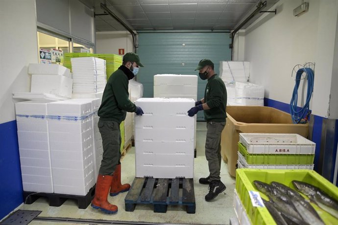 Archivo - Dos trabajadores manejan pescado en cajas de poliestireno, en la lonja de A Coruña