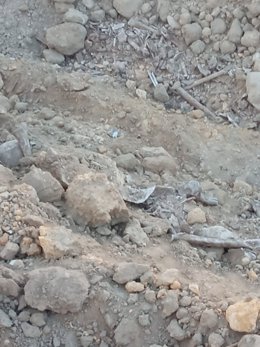 Imagen de una de las fosas descubiertas en Carmona