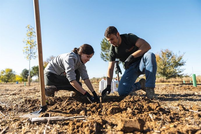 Archivo - Proyecto ambiental 'Bosque RECICLOS'