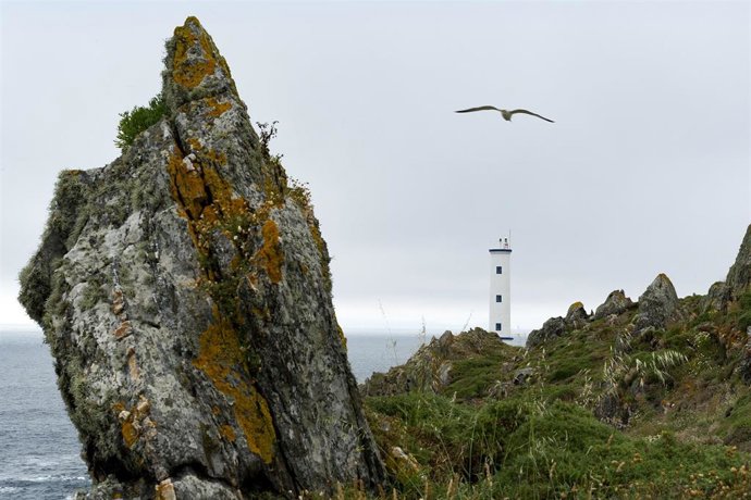 Archivo - Arquivo - Un paxaro sobrevoa o Faro de Cabo Home, a 22 de xuño de 2013, en Cangas, Pontevedra, Galicia, (España). Como cada 7 de agosto celébrase o Día Mundial dos Faros, unha festividade destinada a promover o coidado e a preservación dunha c